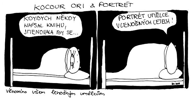 Kocour Ori & portrét