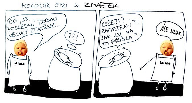 Kocour Ori & zmætek