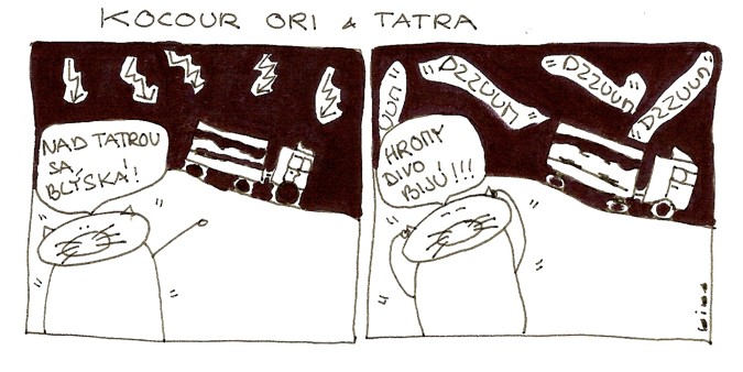 Kocour Ori & tatra