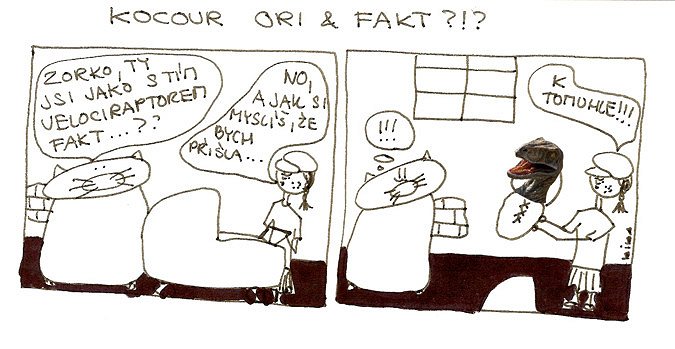 Kocour Ori & fakt?!?