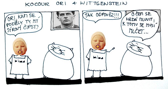 Kocour Ori & Wittgenstein