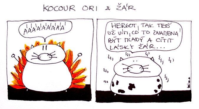 Kocour Ori & žár