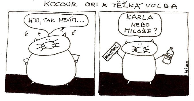 Kocour Ori & těžká volba