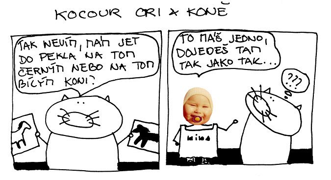 Kocour Ori & koně