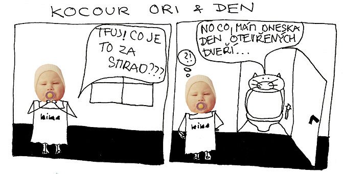 Kocour Ori & den