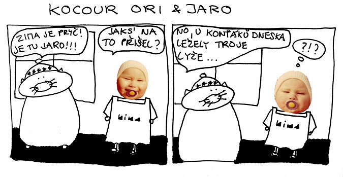 Kocour Ori & jaro