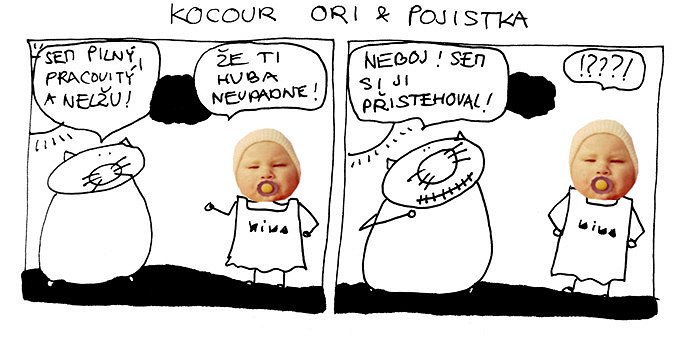 Kocour Ori & pojistka