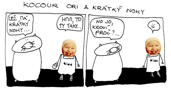 Kocour Ori & krátký nohy