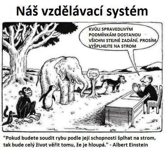 Častý problém vzdelávacieho systému