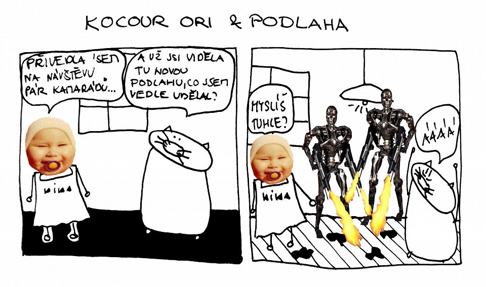 Kocour Ori & podlaha