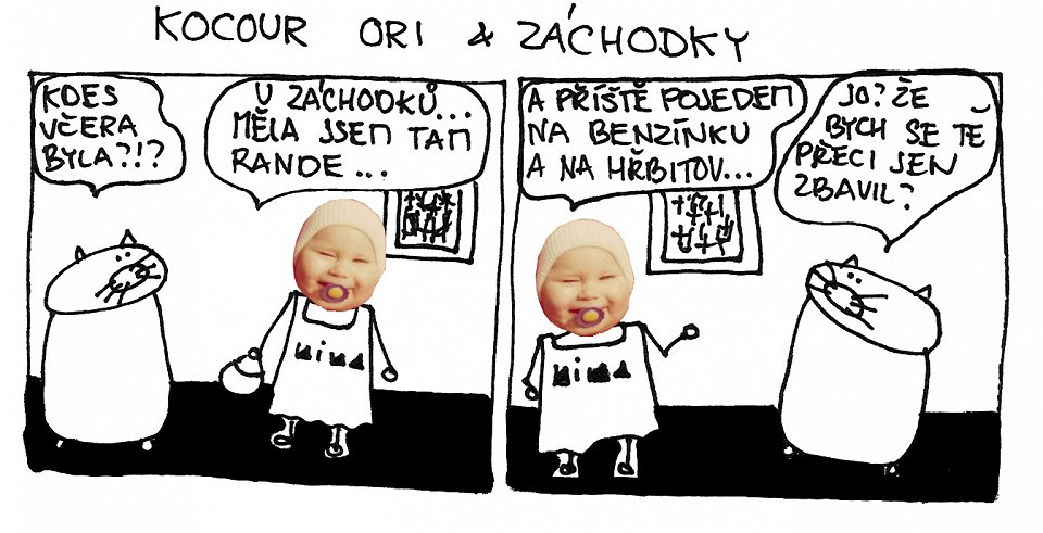 Kocour Ori & záchodky