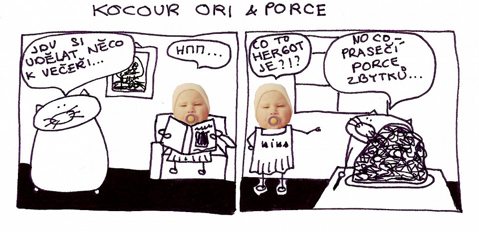 Kocour Ori & porce