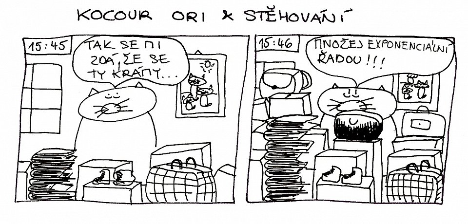 Kocour Ori & stěhování