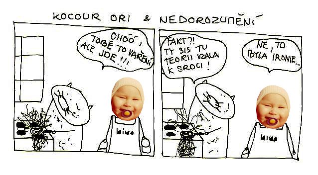 Kocour Ori & nedorozumění