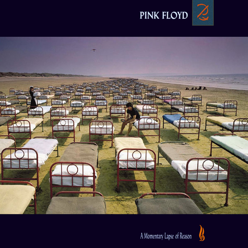 Alba do alba - Pink Floyd: A Momentary Lapse of Reason