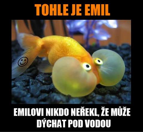 Emil :DDD
