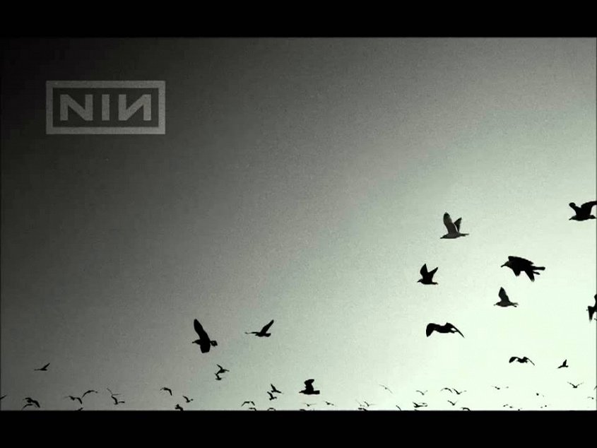 Alba do alba - Nine Inch Nails: Ghosts