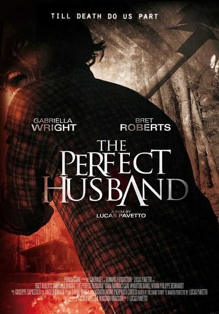 The Perfect Husband