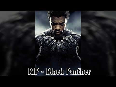 Rest in Peace Black Panther