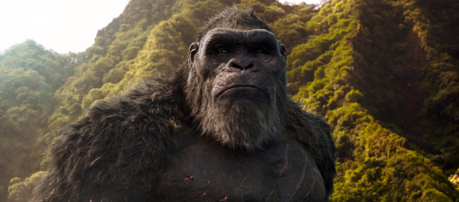 Godzilla Vs Kong 2021 Galerie Z Filmu Csfd Cz